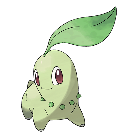 MEP 069 Chikorita  – Black Star Promo – (Perfect Order) Pokémon Card (English)